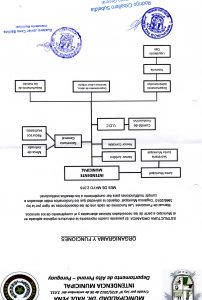 Organigrama y Funciones